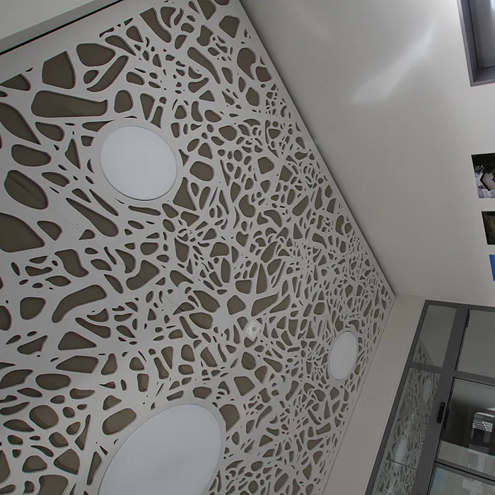 Perforated aluminium ceiling panel with an organic cut-out pattern and round lights